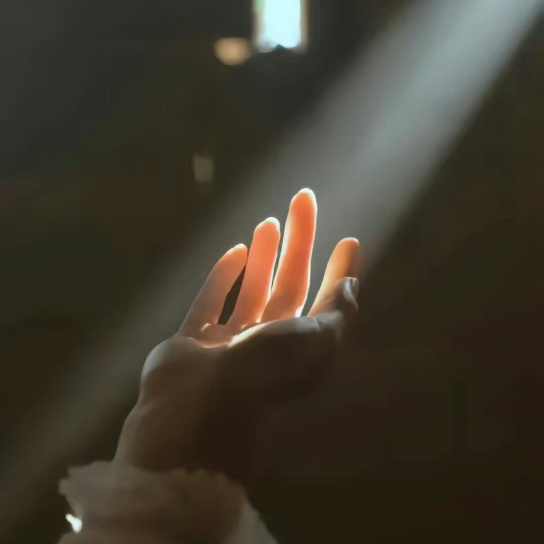 笨 笨