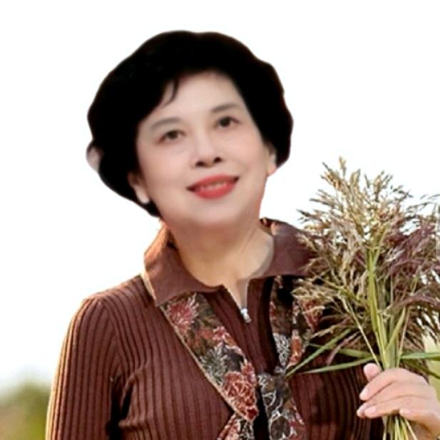 芝芝（拒私聊）