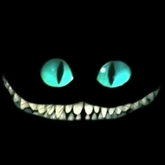 在牛A与牛C之间徘徊的男人