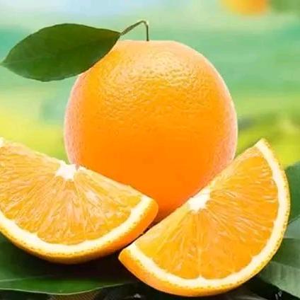 缘分起点