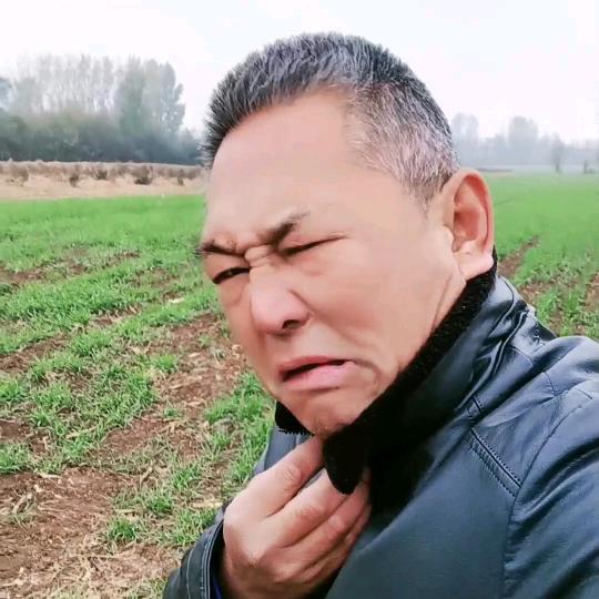 舞一地