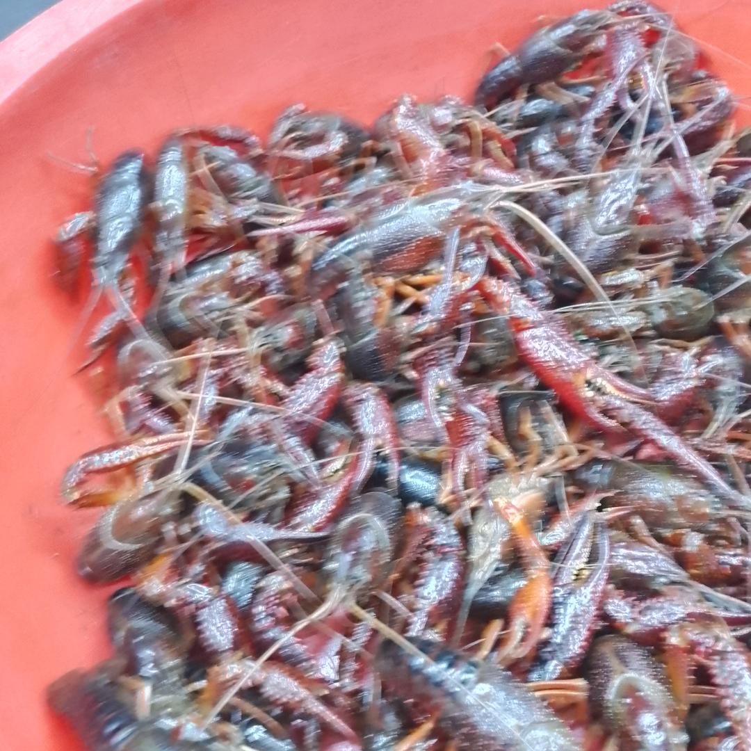 王老三