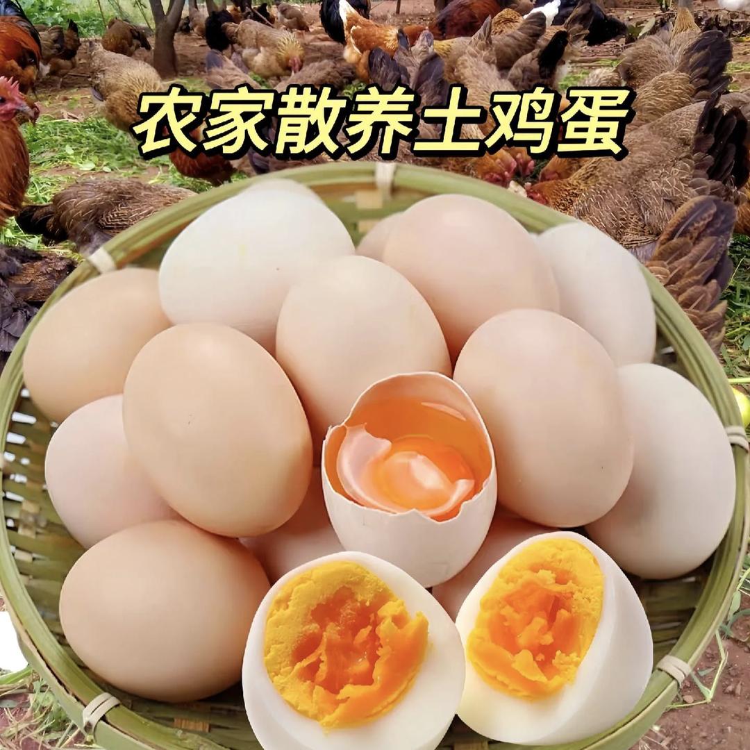 用户113
