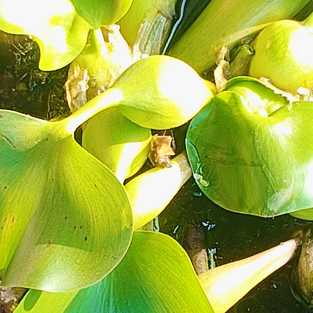 㜂孞所爱💞💝💝💝