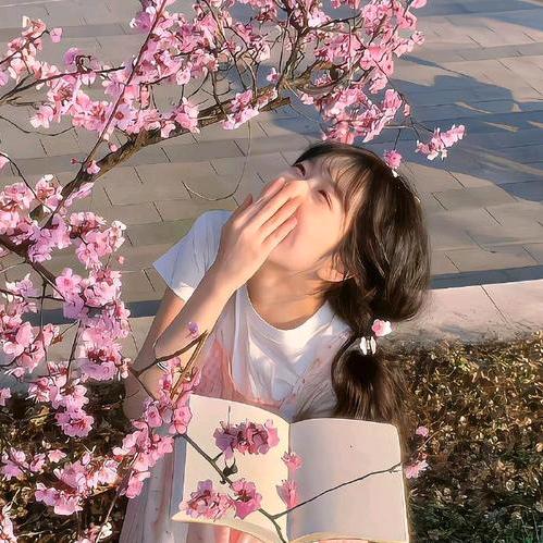 红红贝呀