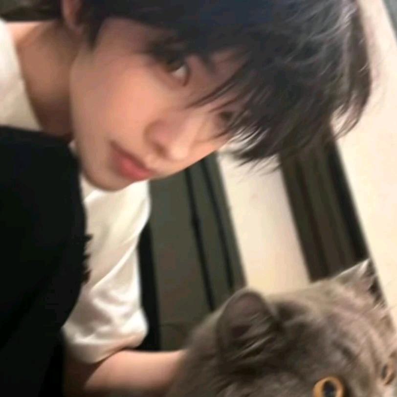 不会压弯的宇宇