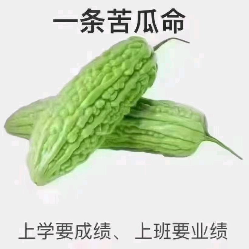华润金荣
