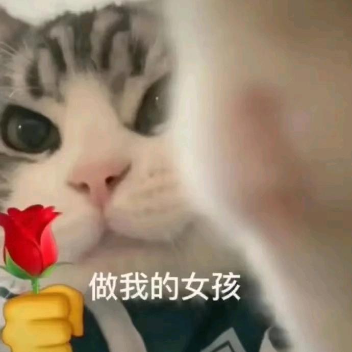 小许爱剪辑（达摩）