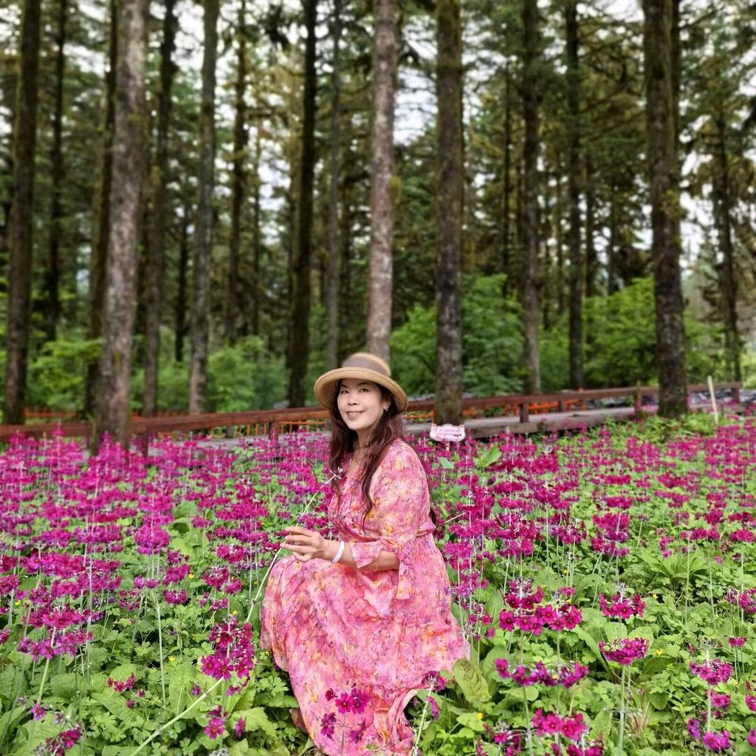 涅槃重生（诚信回，勿连赞超三不回）