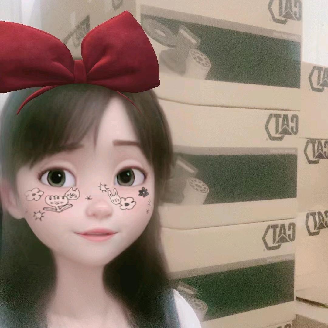 卡特挖机原厂配件:蔡