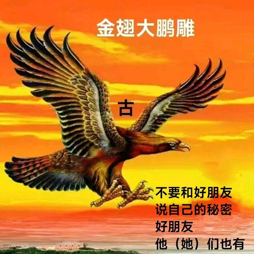 金雕