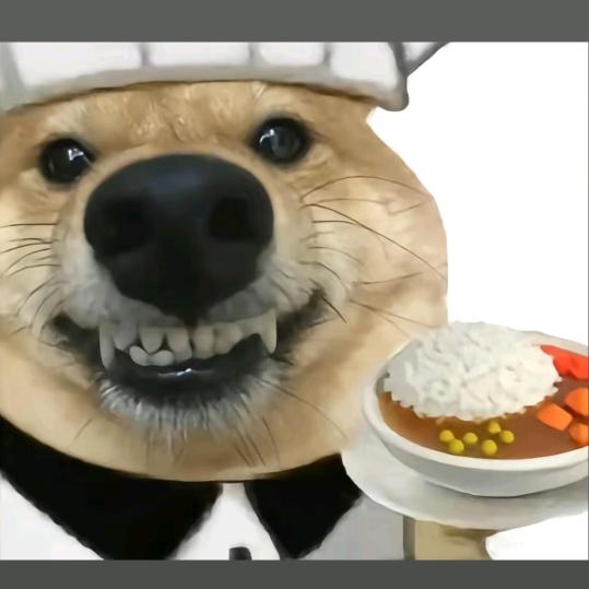 一丝不苟先生