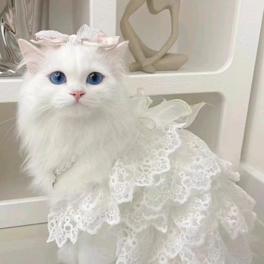 微笑