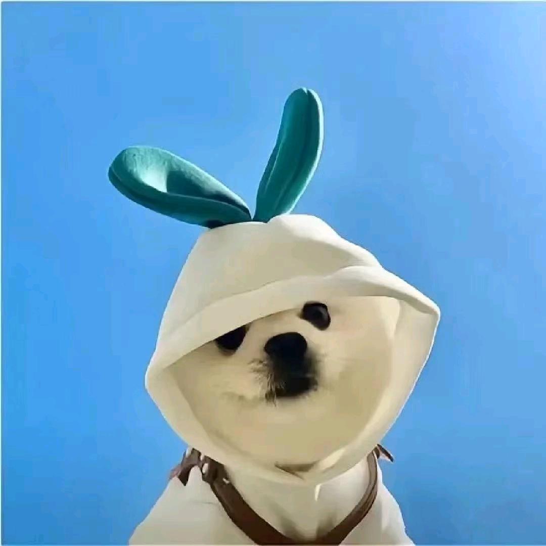 呼呵哈嘿嘻