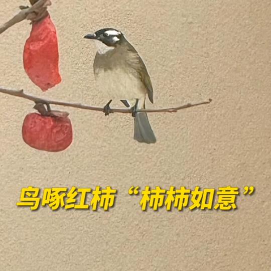 啄木鸟