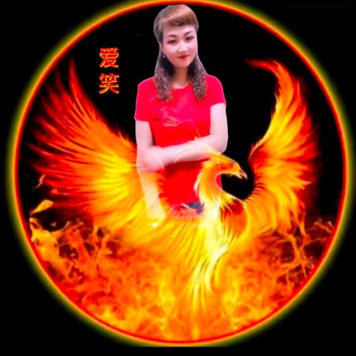 龍行⭐愛笑⑲
