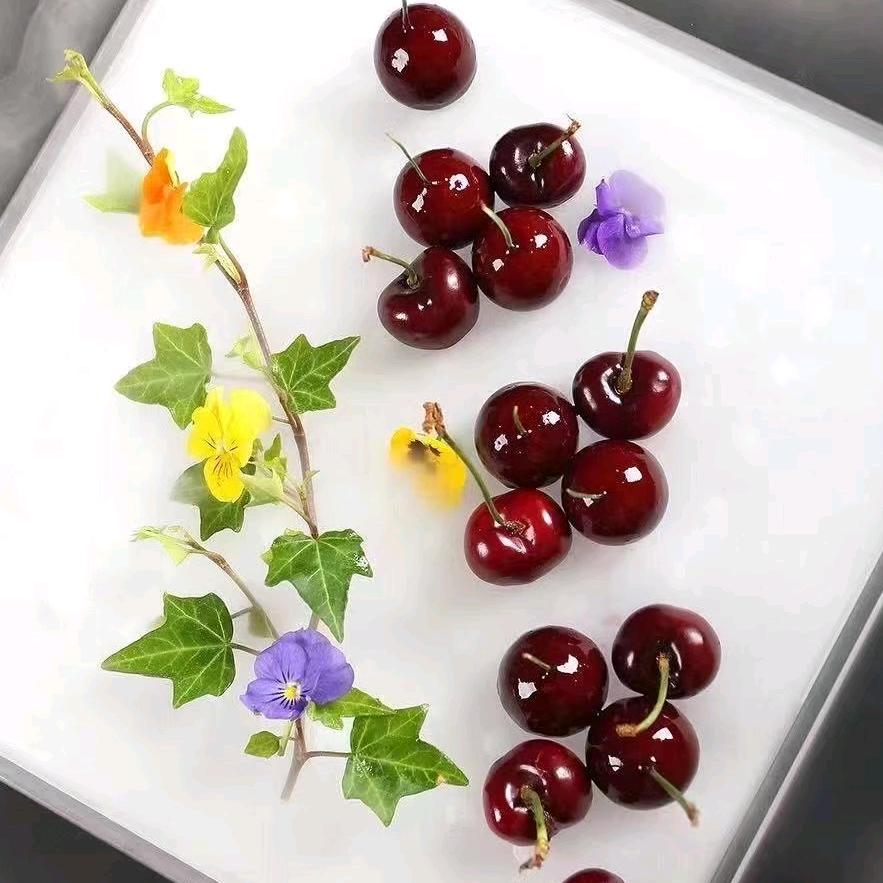 巴郎鱼