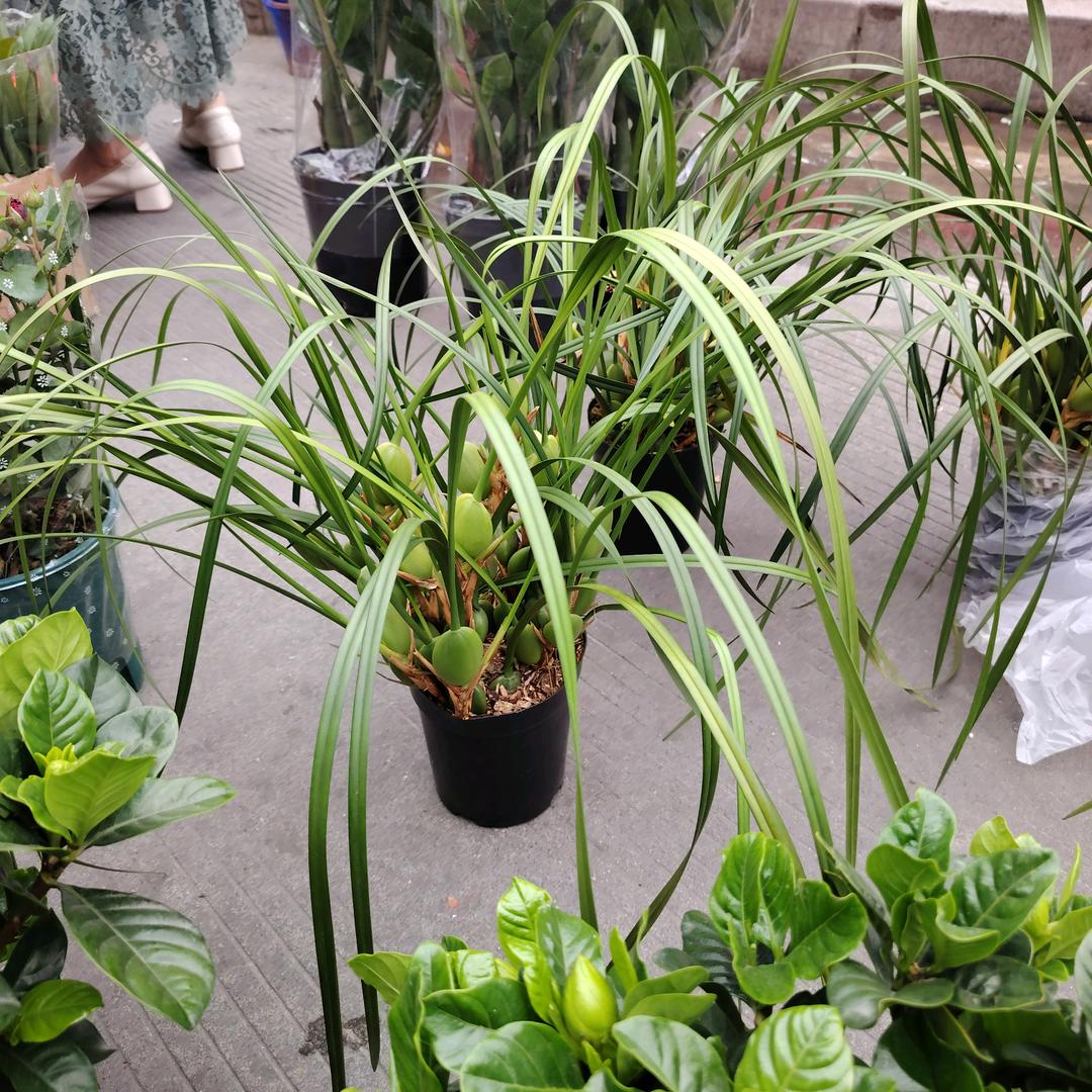 亳州装修李老师