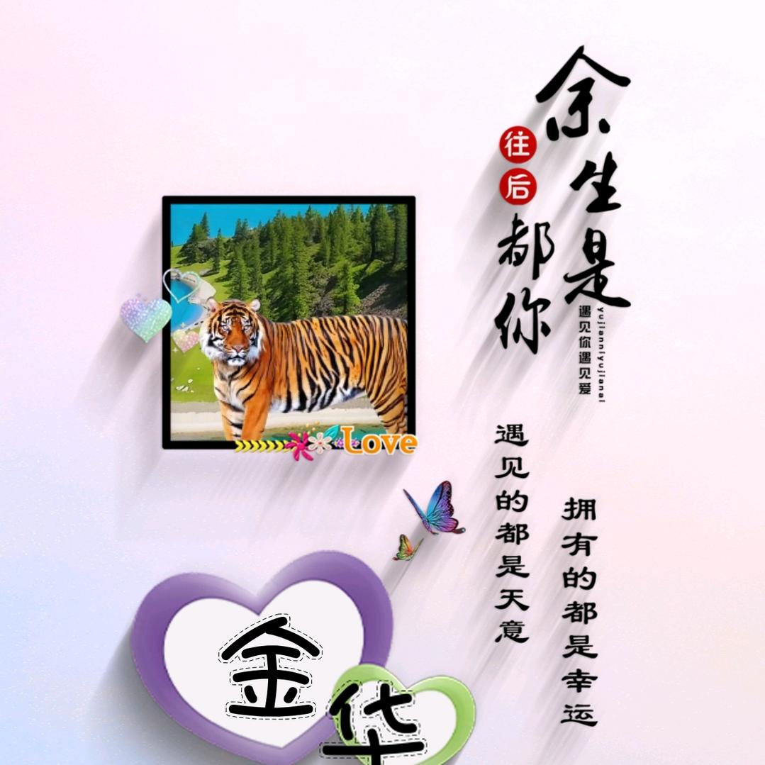 🎀🎀❤金❤华❤🎀🎀