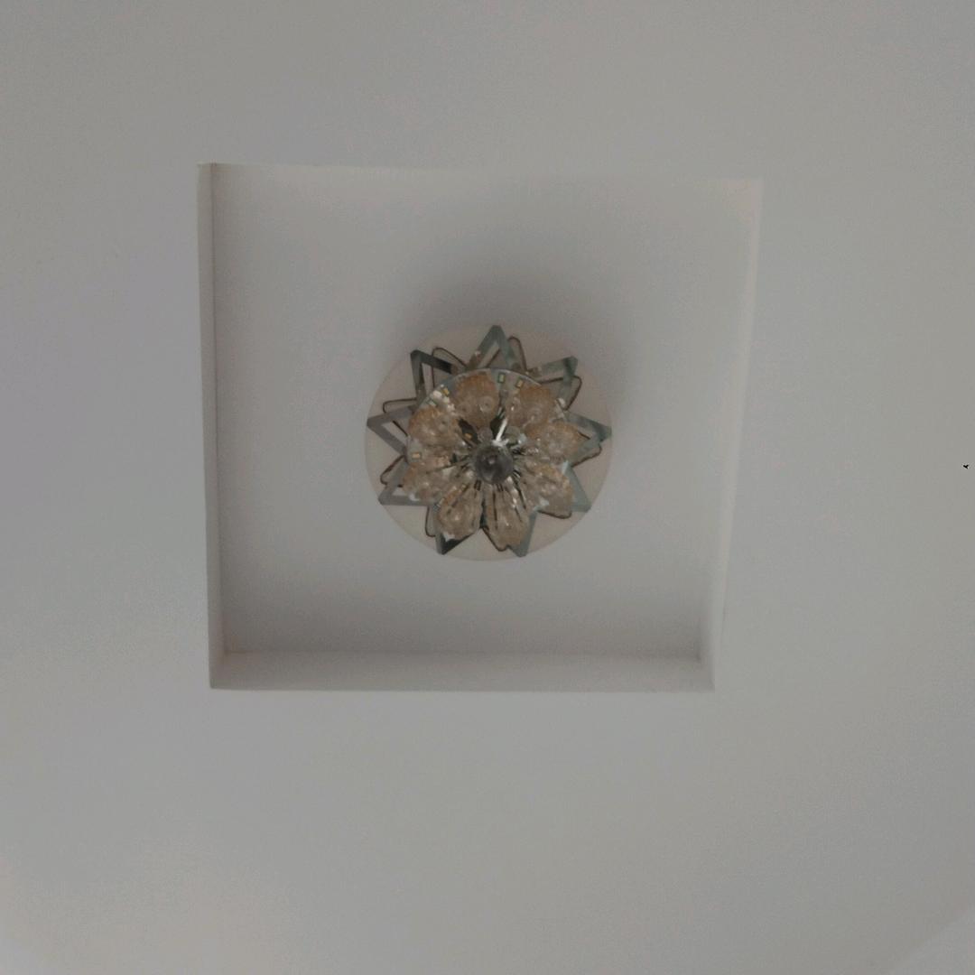 清风玉竹