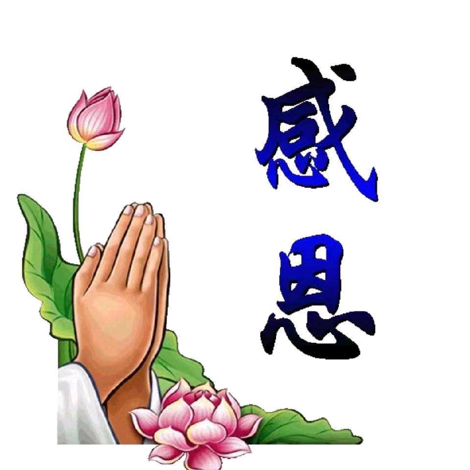 永结善缘