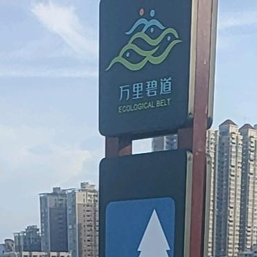 天道时代