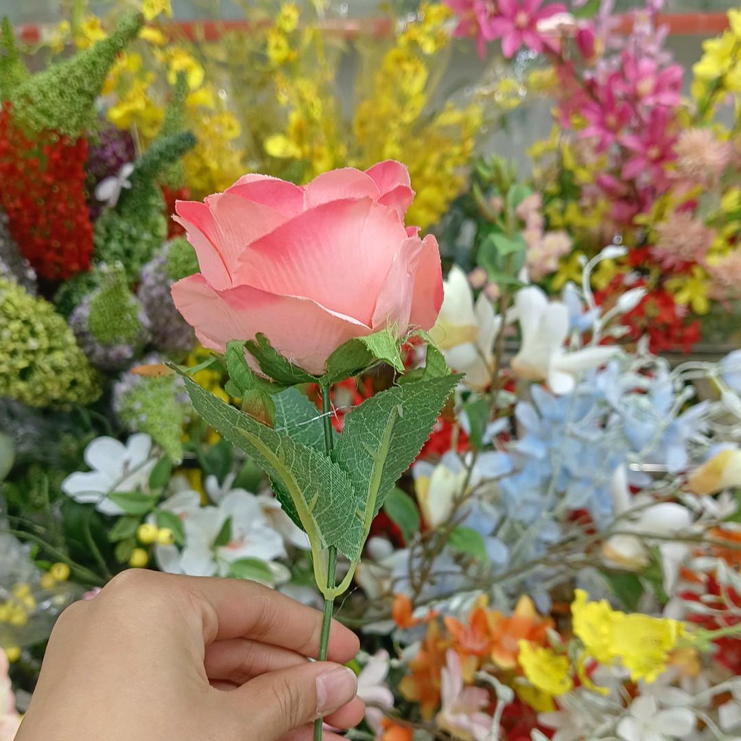 惠安干货土特产