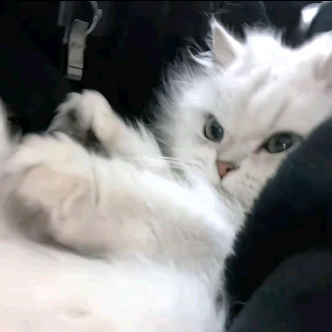 打发时间xx