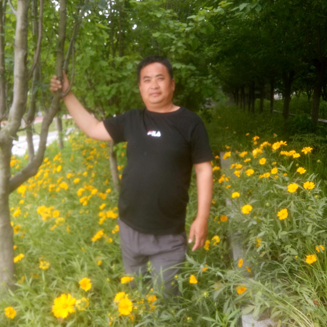 诚心诚意良孝天下……