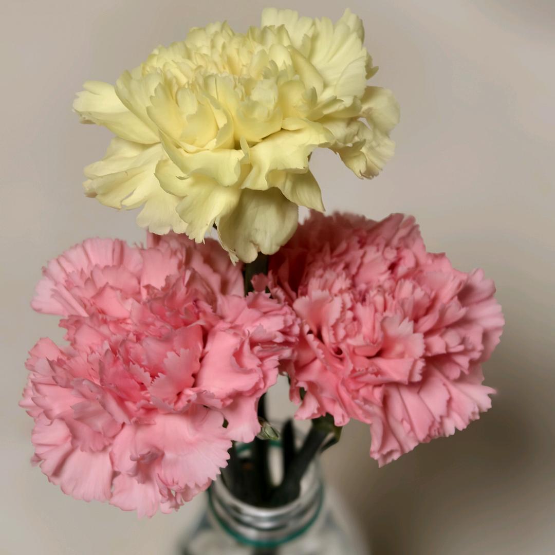 换行（Hang ）！