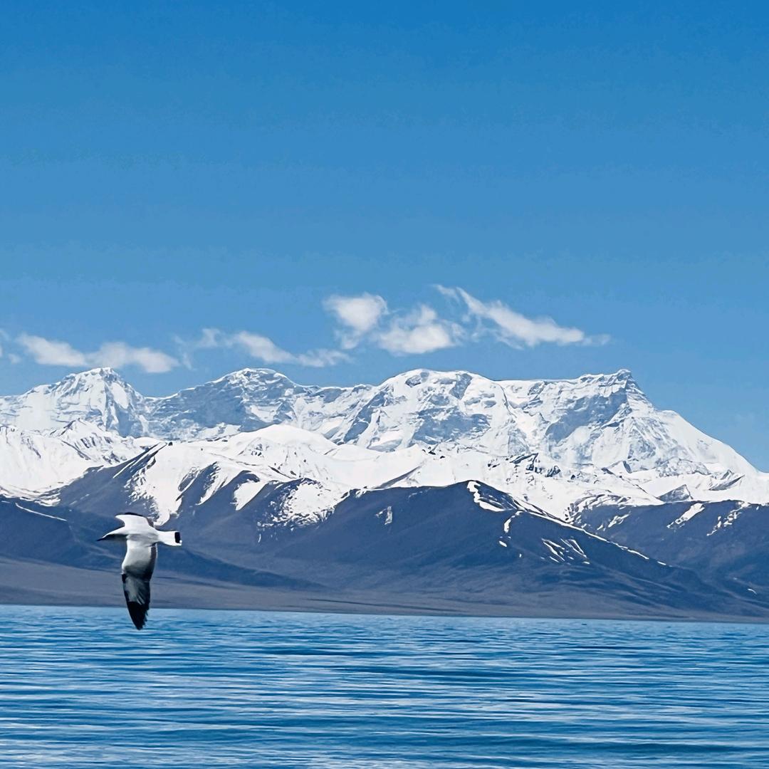 海印