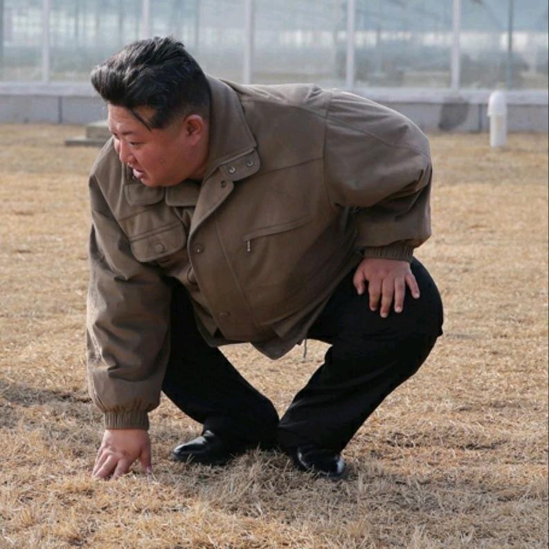 巴博S