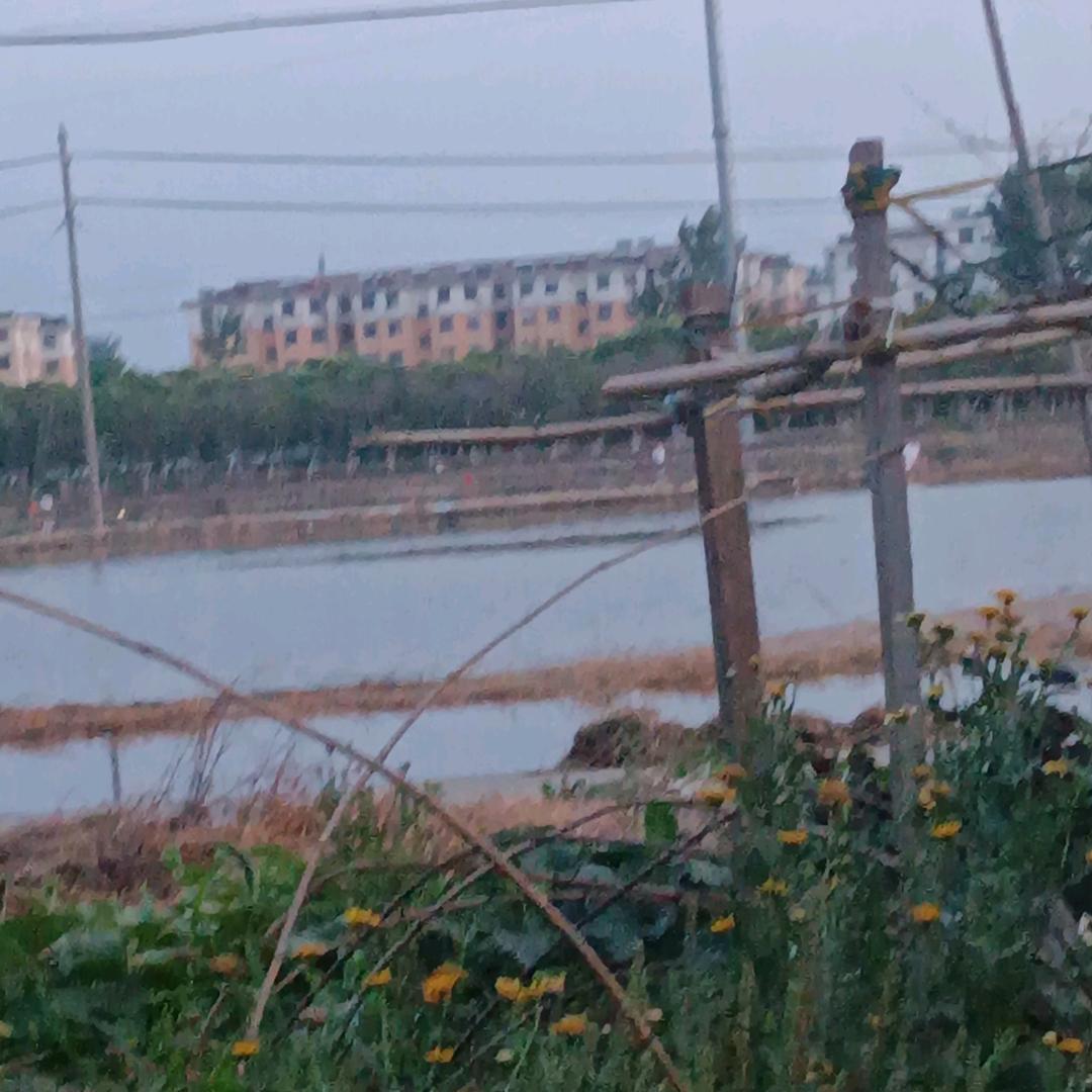 建阳镇顾扬村王大