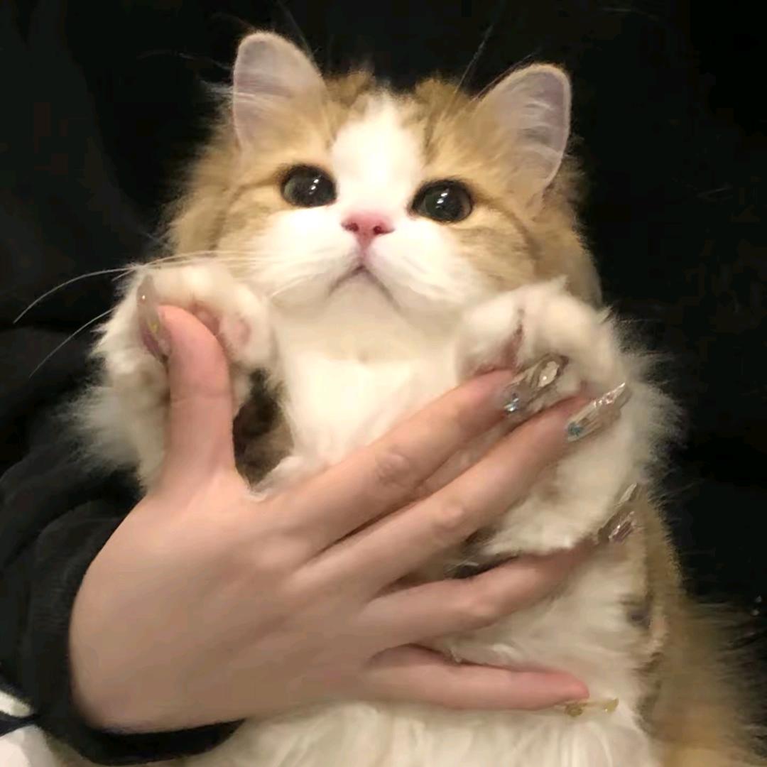 >◡oಣོ