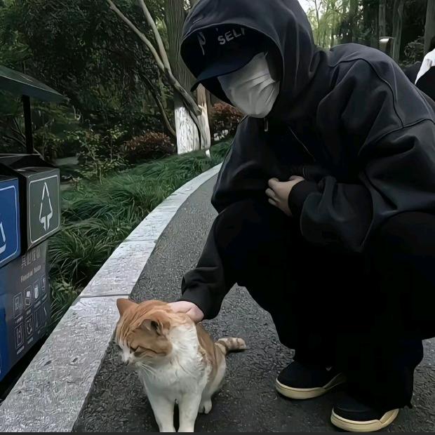 辞安