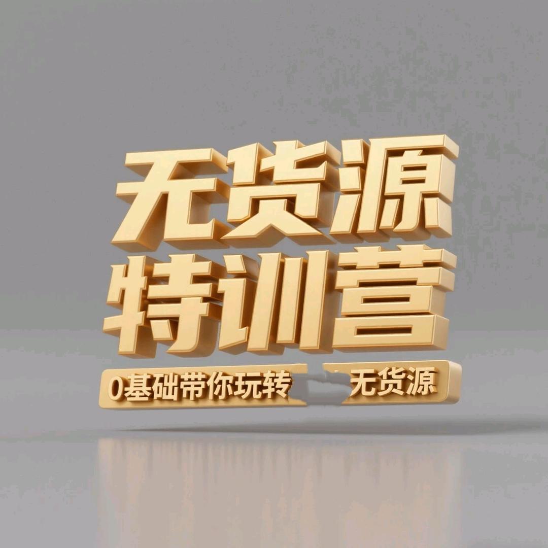无货源陪跑