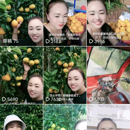 张三姐