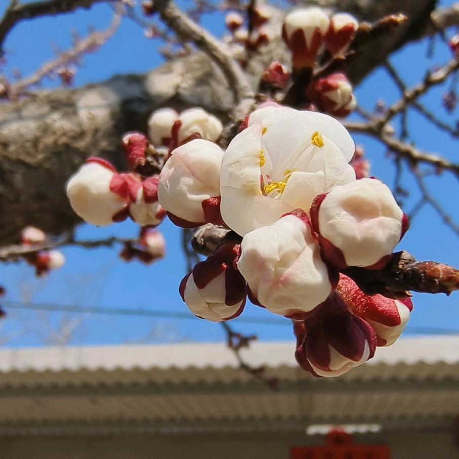 猛踢瘸子那条好腿