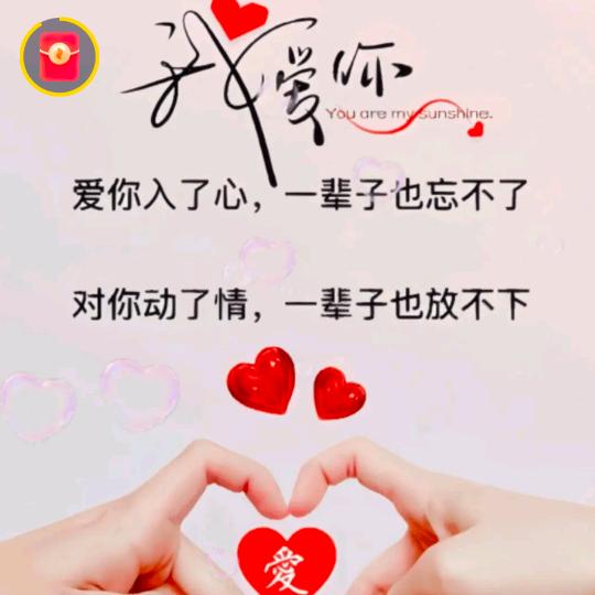 ✿✿ヽ(时光尽头是你✿）护你周全