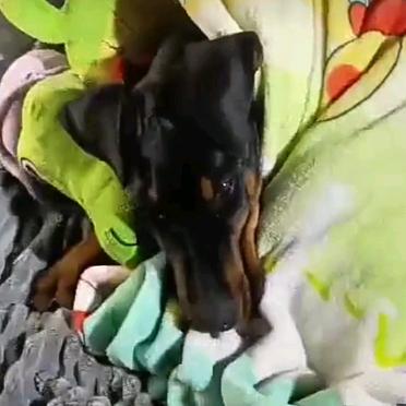 (๑•́ωก̀๑)娜娜(๑•́ωก̀๑)