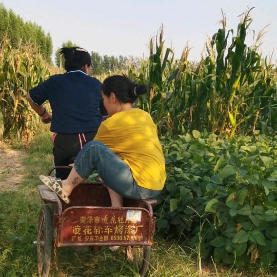 山东冯姐