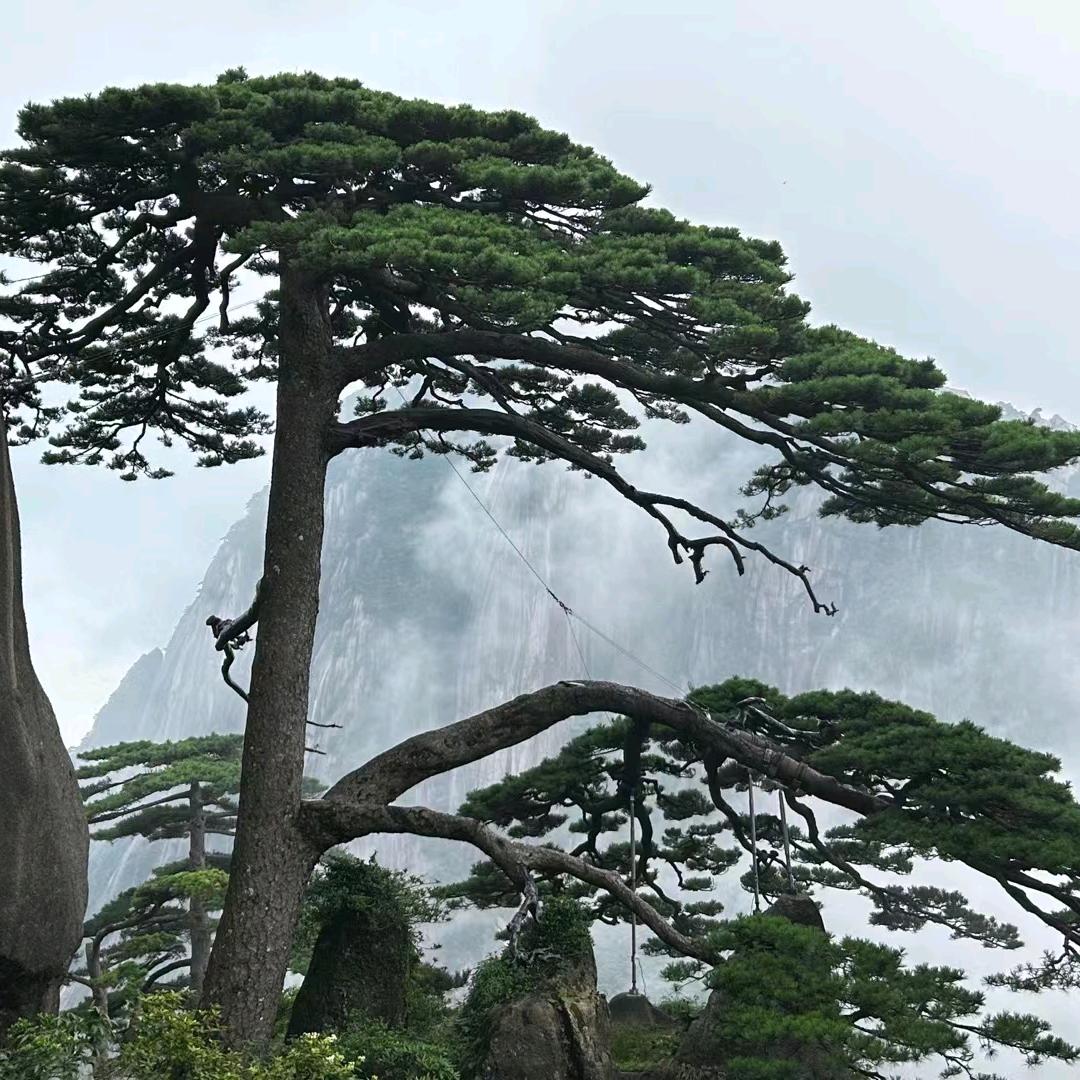 @漂泊在城市的农民@