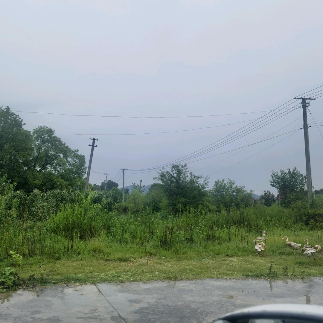 众创-全品类（雪菲娅）