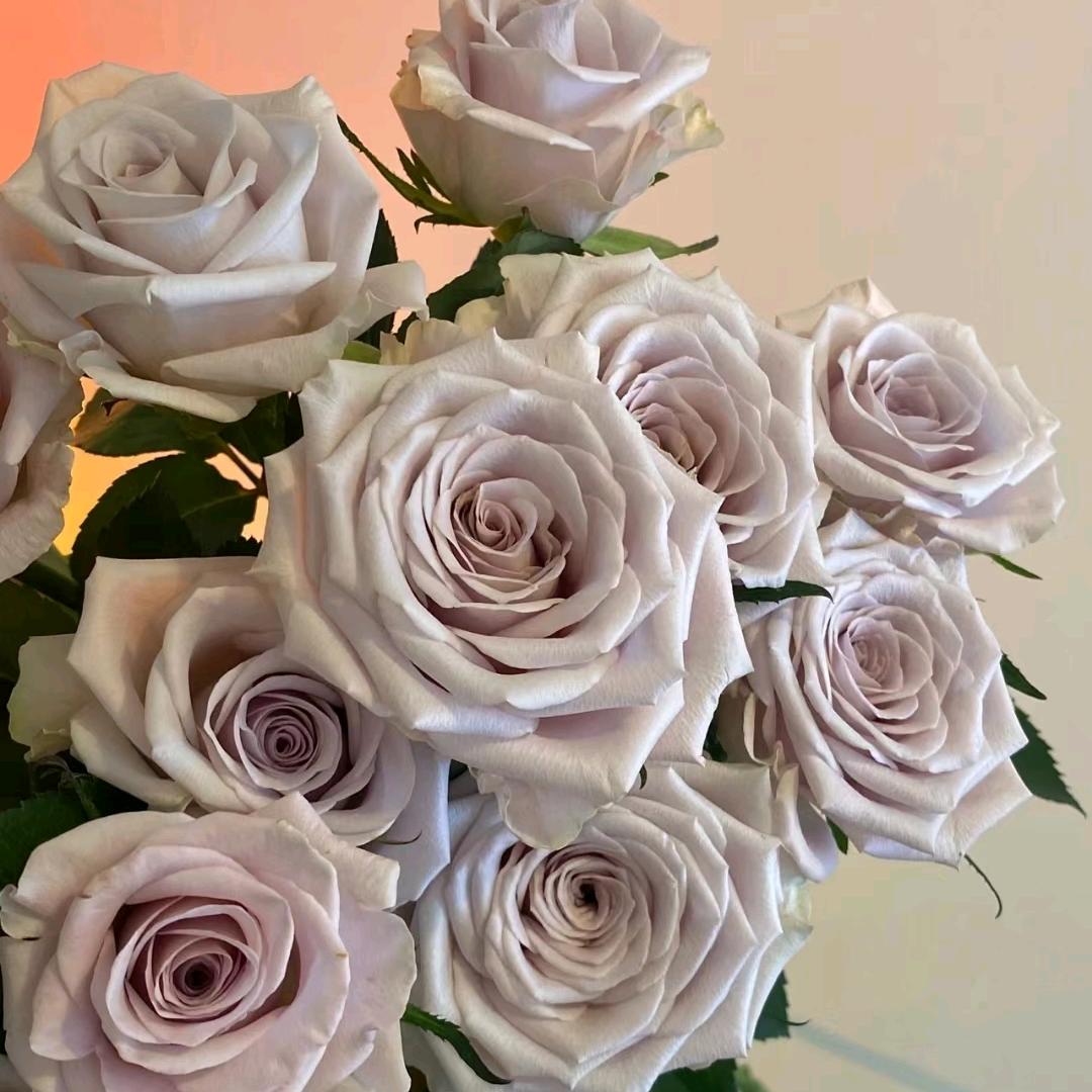 花海鲜花批发