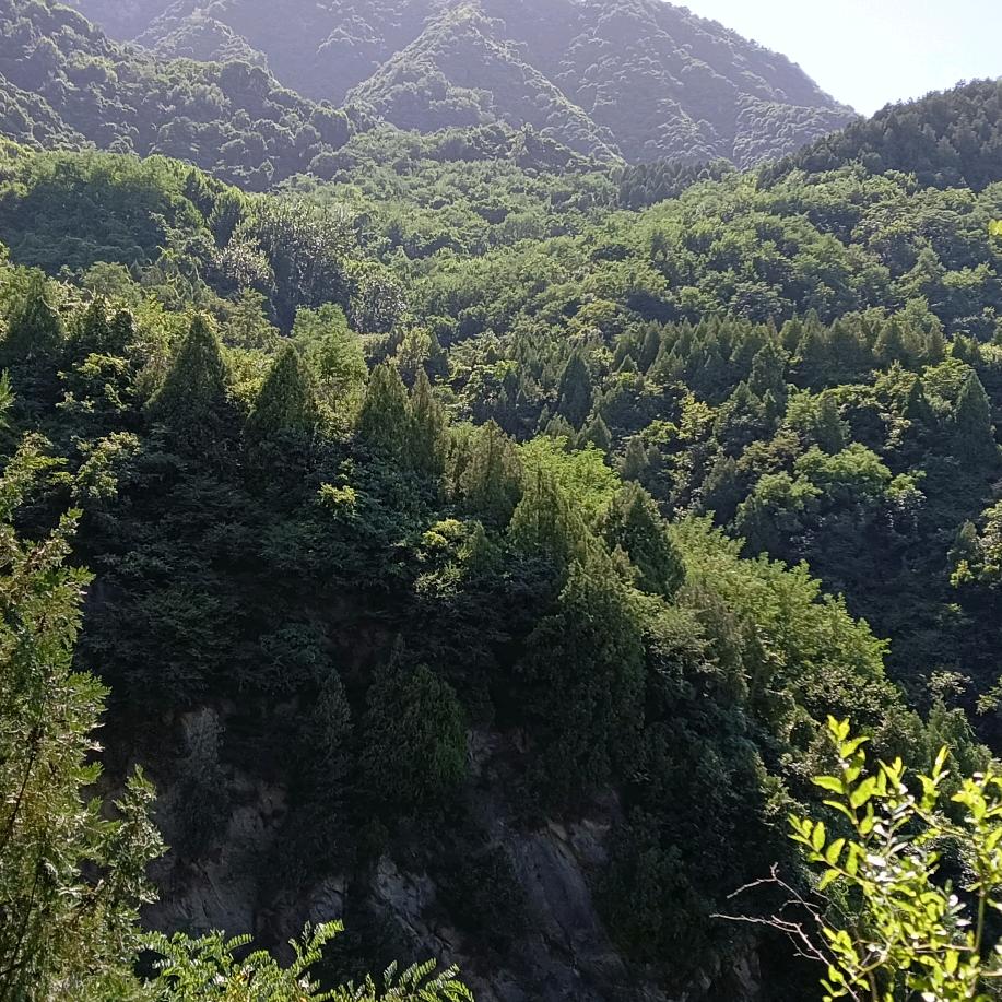福禄纳母婴