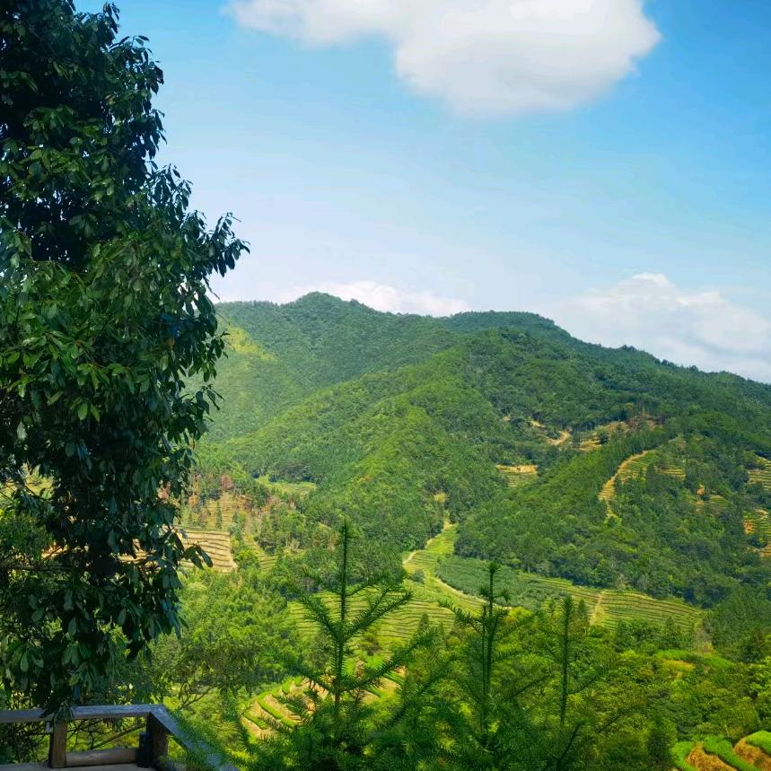 厘九崖