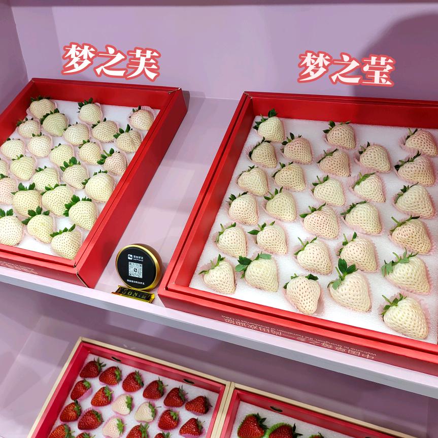 浙江建德市草莓研究院