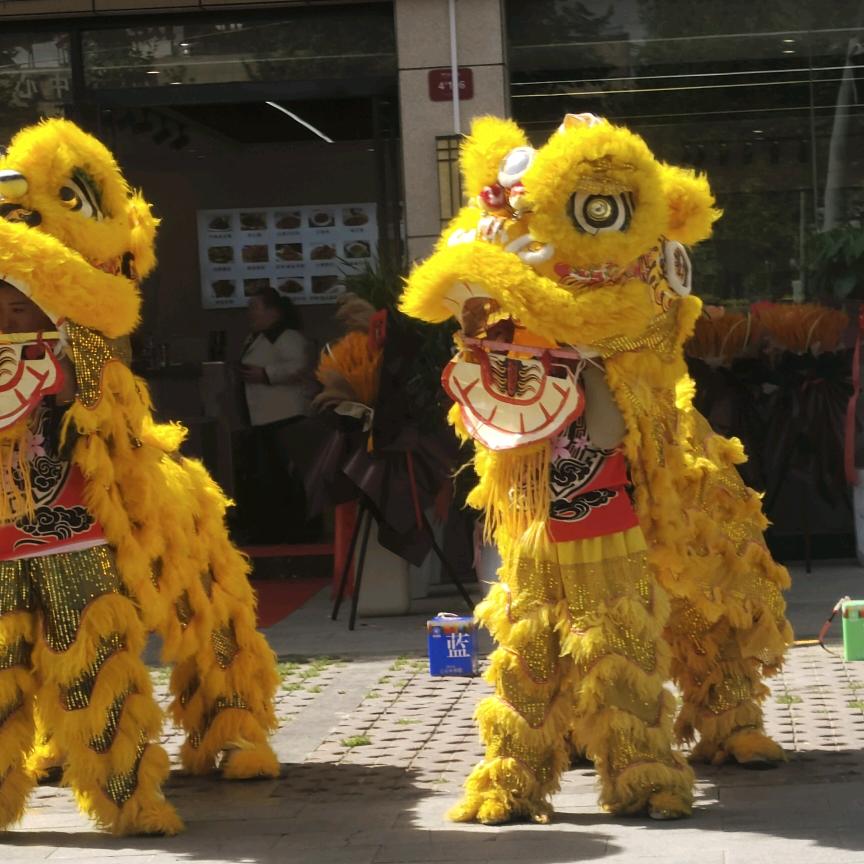 农村李不是