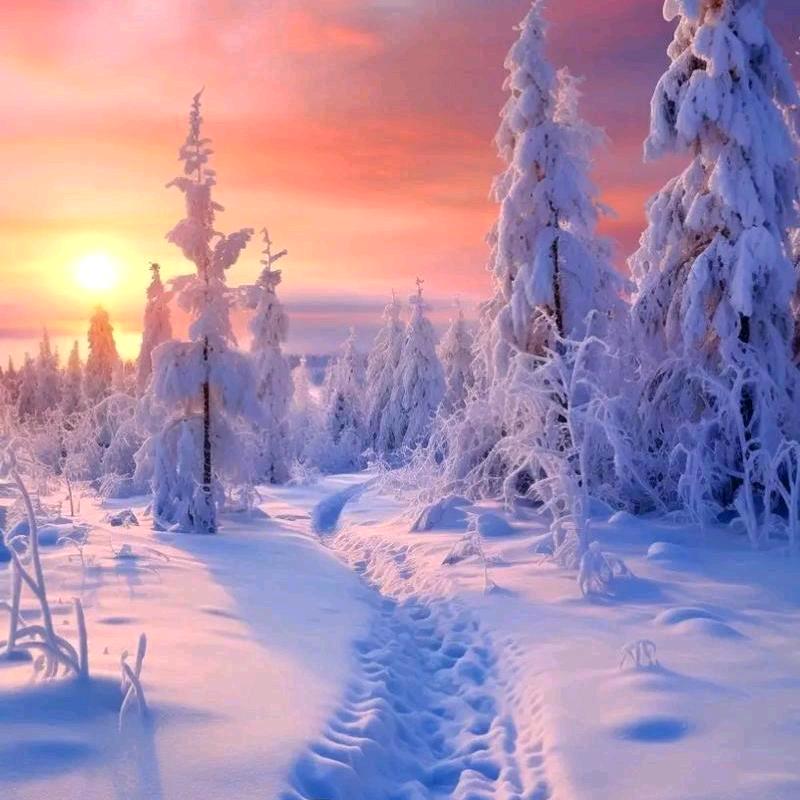 踏雪