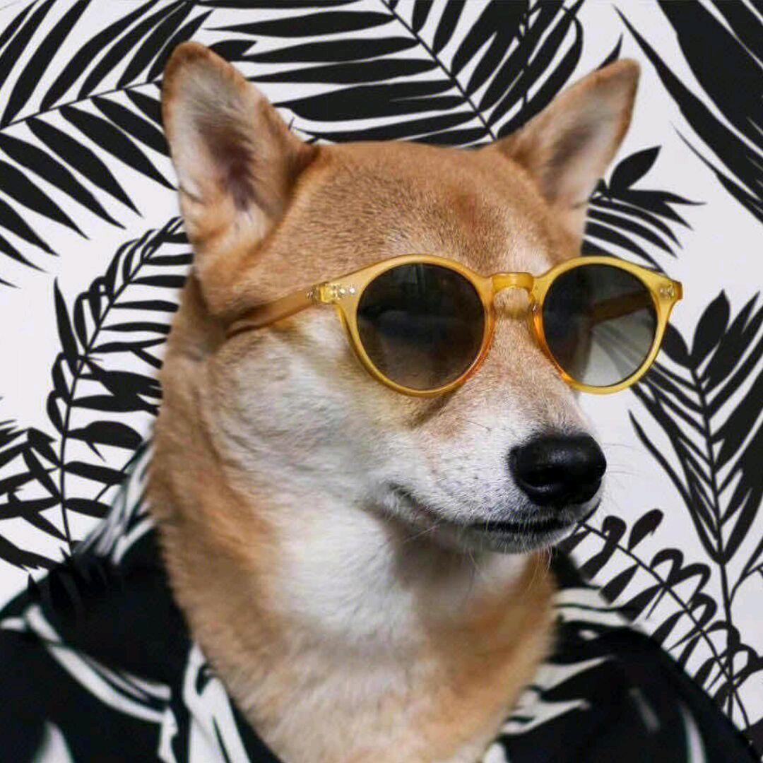 爱偷懒的lim🇵🇸